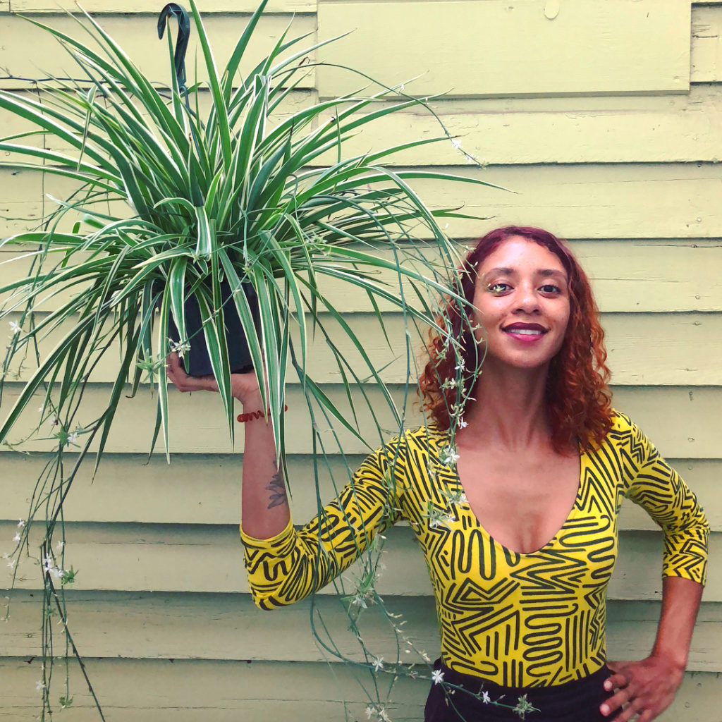 @thehorticult: Always felt a bit ho-hum about spider plants until this abundantly blooming one …