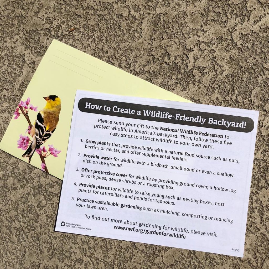 @gardendesignmag: Great tips on how to create a wildlife-friendly backyard from @nationalwildlife …