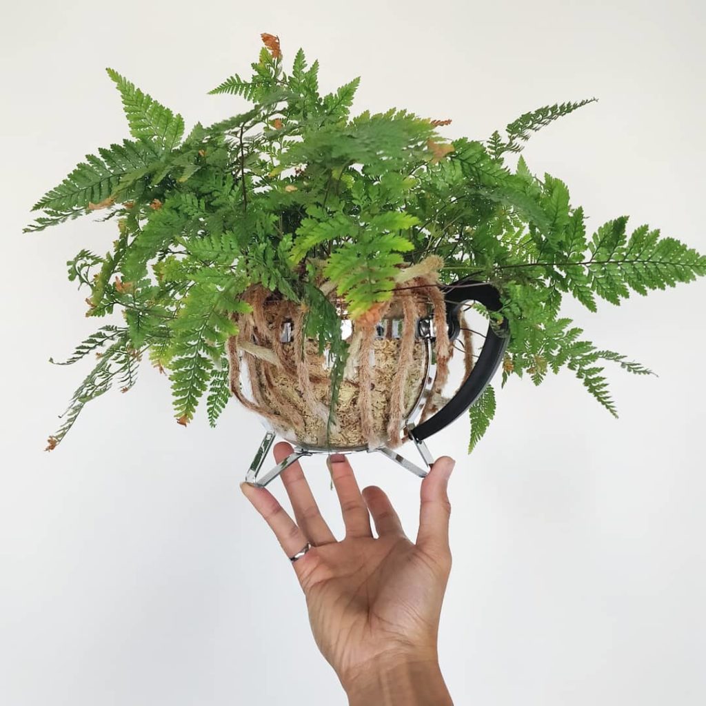 @houseplantjournal: Drainage layer for an enclosed container? No way!
–
Root rot occurs when soil r…