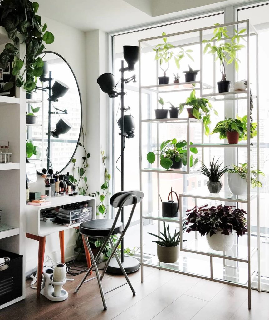 @houseplantjournal: Etagere – an open shelf for displaying ornaments, i.e. the perfect plant shelfie…