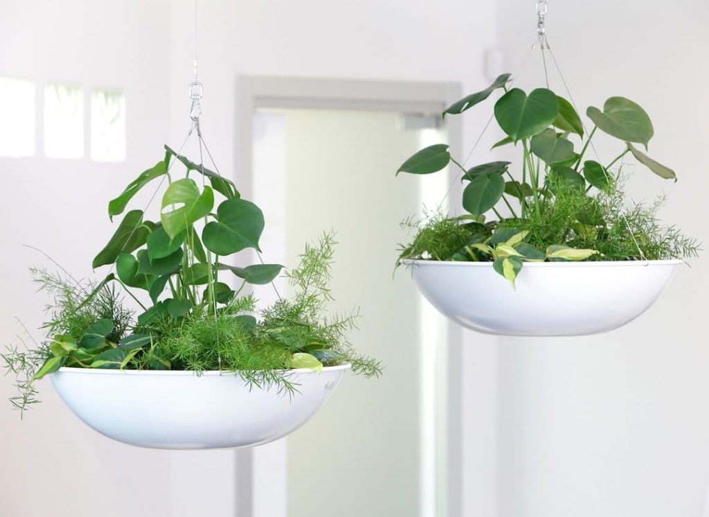 @gardendesignmag: There’s only a few days left to enter to win a planter from @pot_inc ! Make sure…