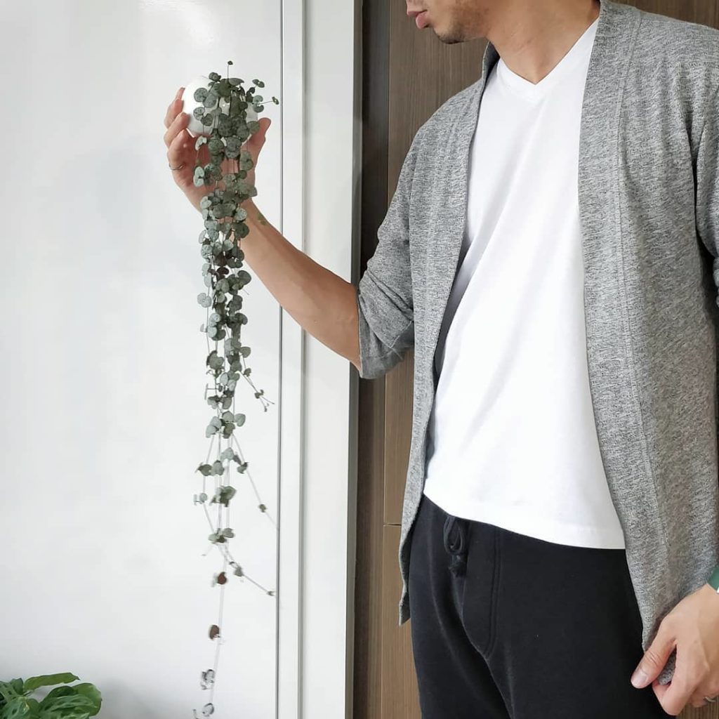 @houseplantjournal: String of Hearts (Ceropegia woodii)
–
Step 1 isn’t watering, it’s light: put the…