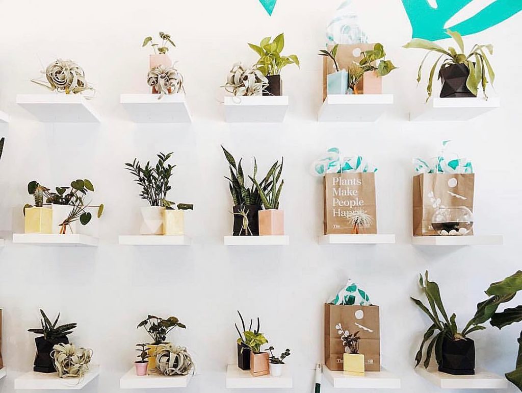 @thesill: Much like our houseplants, we are growing! We’re looking for an Associate Buyer…