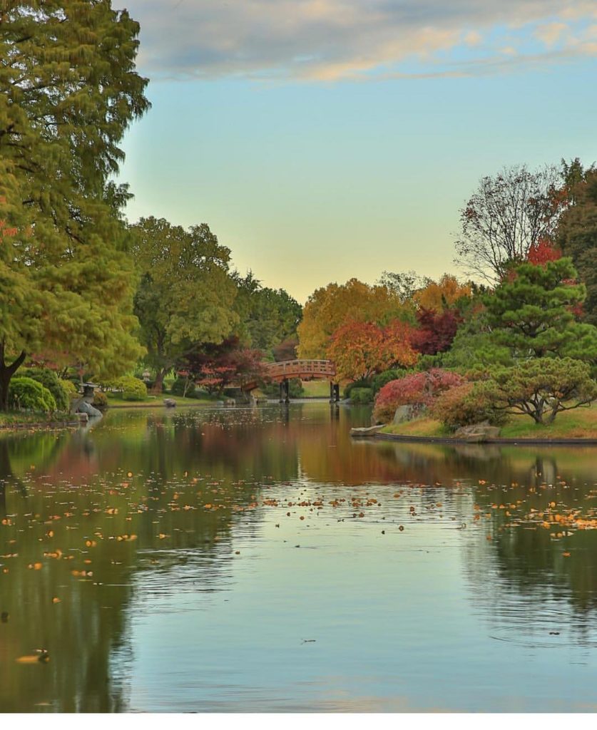 @gardendesignmag: Will you just look at this beautiful scene at @mobotgarden?! Celebrate Tree Week…