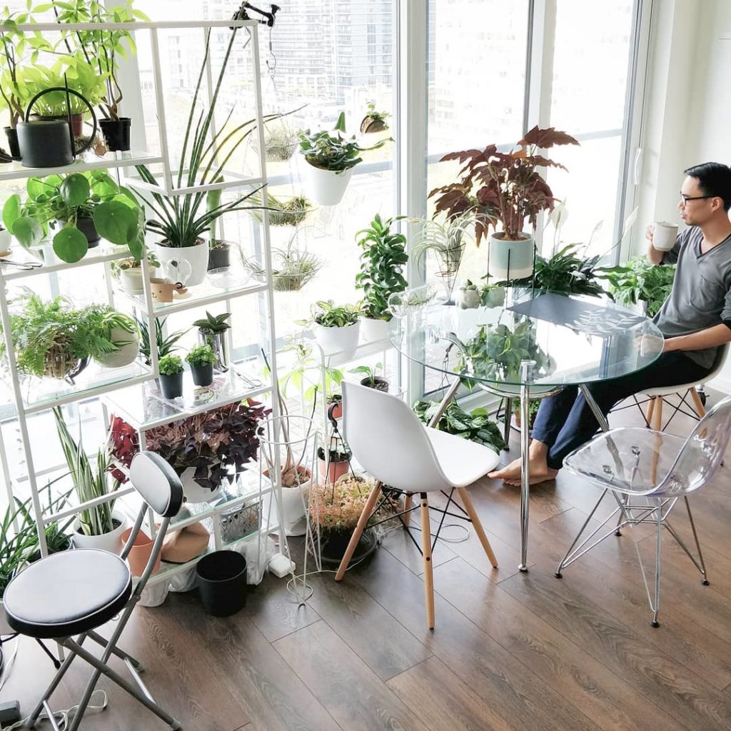 @houseplantjournal: Enjoying a late morning coffee on a Saturday morning while pondering the best wa…