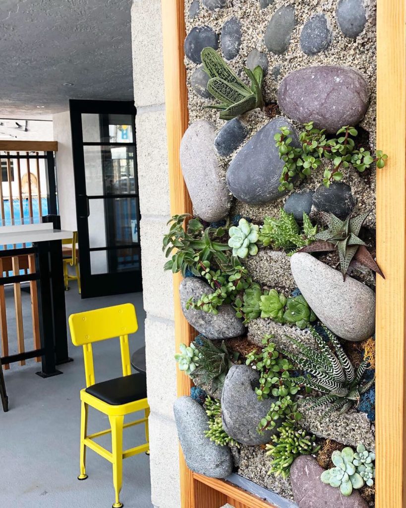 @thehorticult: Shore Garden wall piece designed and installed for Bird Rock Coffee Roasters at …