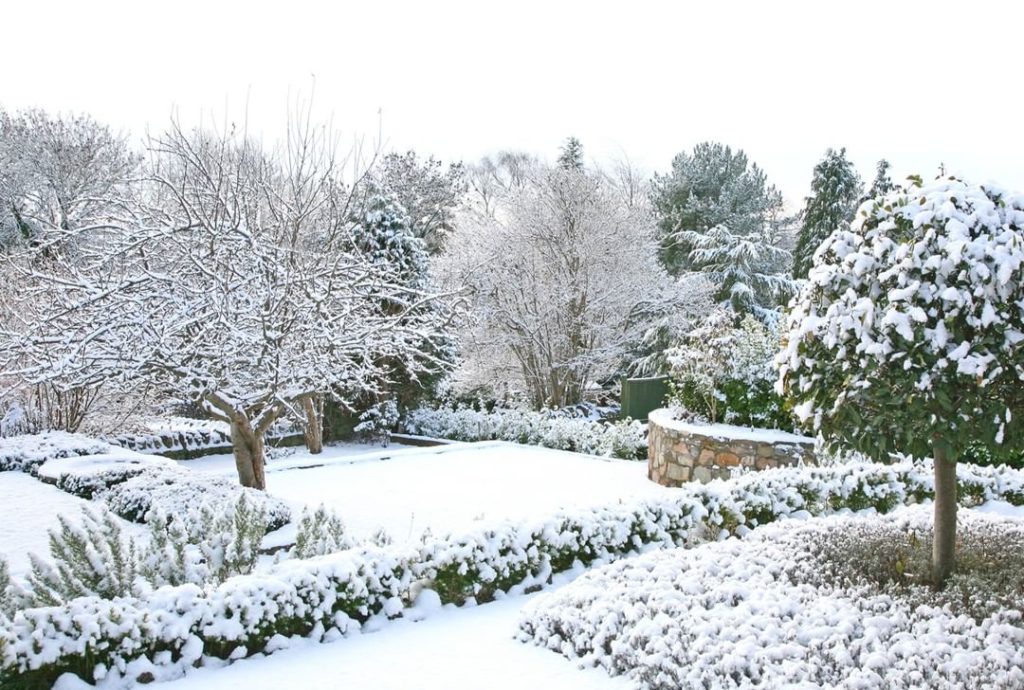 @gardendesignmag: A beautiful winter garden starts with preparing for the season—from removing deb…