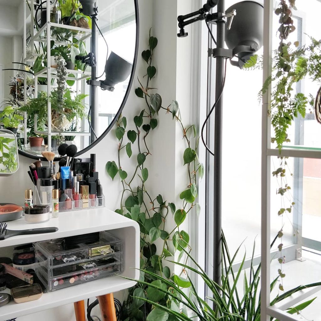 @houseplantjournal: Progress on the wall-climbing Philodendron at my wife’s makeup table
~
~
#housep…