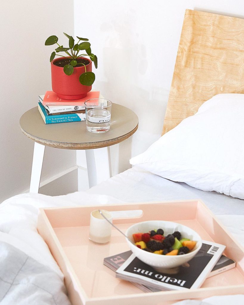 @thesill: Reasons to gift the #Pileapeperomioides this holiday: it looks perfect pre-potte…