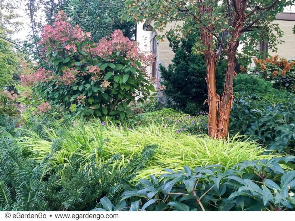 @gardendesignmag: Blog We Love: @egardengo_app shares 5 traits the best plant combos have in commo…