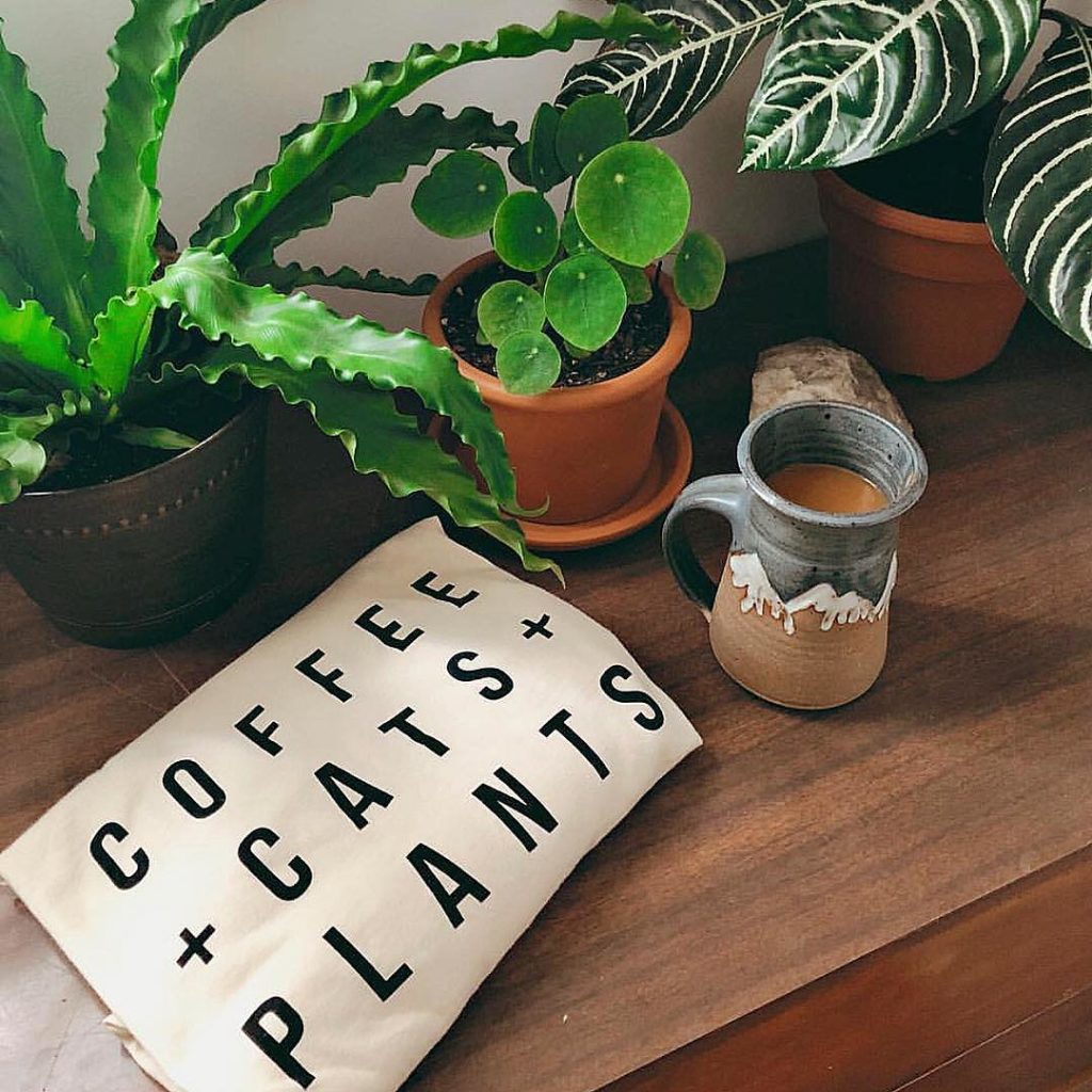 @thesill: Need a last-minute gift for a plant + pet parent in your life? Shop these super…