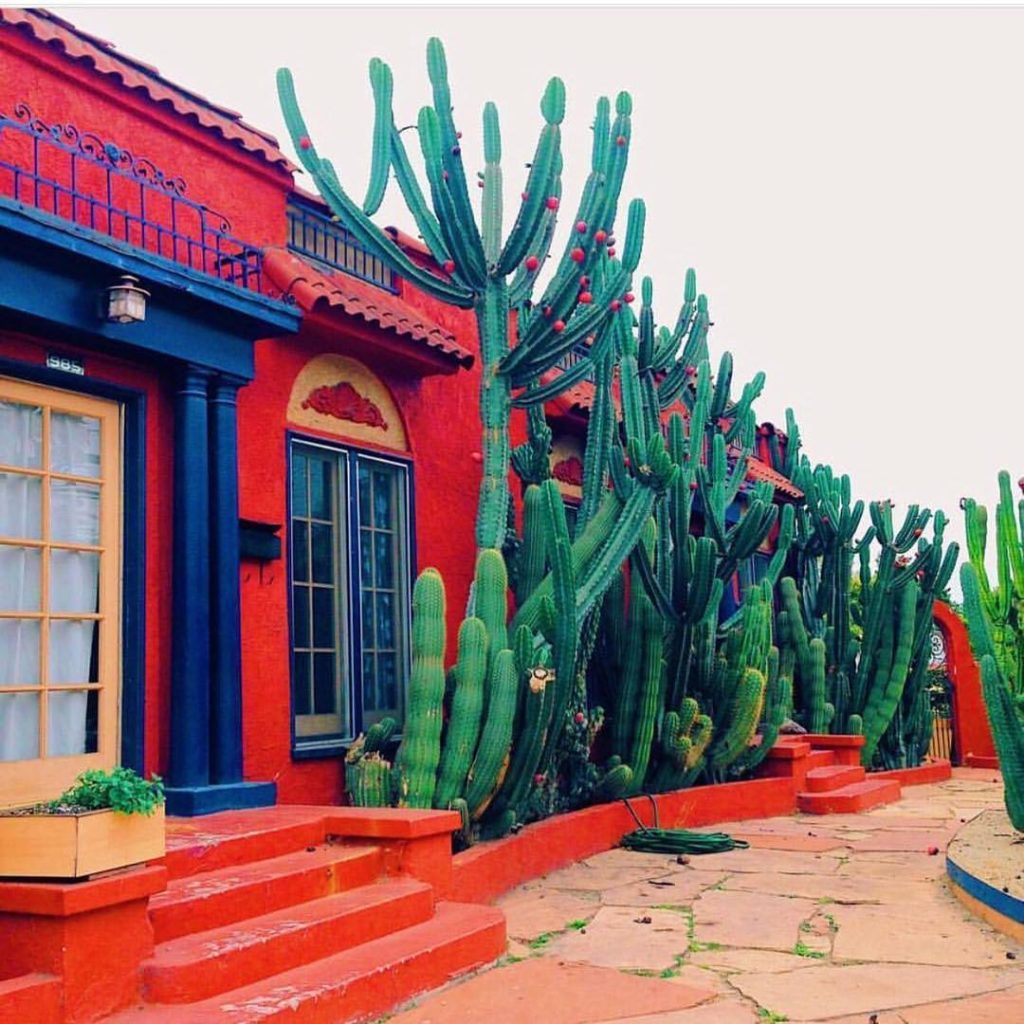 @thejungalow: We’re gonna spend today sharing some of our 2018 greatest hits! You ready? This …