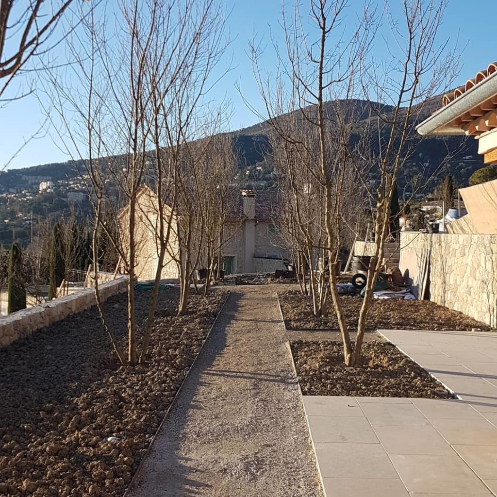 @jamesscapedesign: Very excited about this garden. A real colaboration between the team at Scapede…