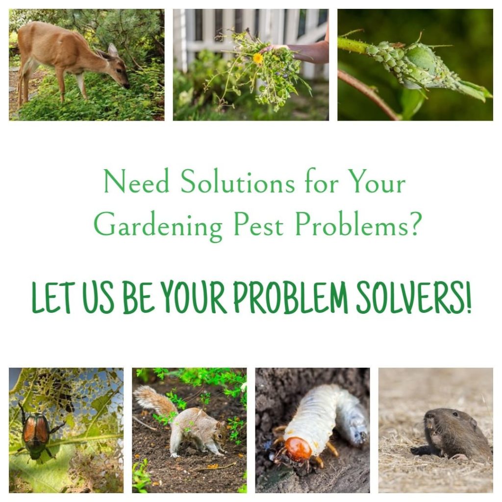 @gardendesignmag: From gophers to aphids, we are here to help you have the best garden possible! S…