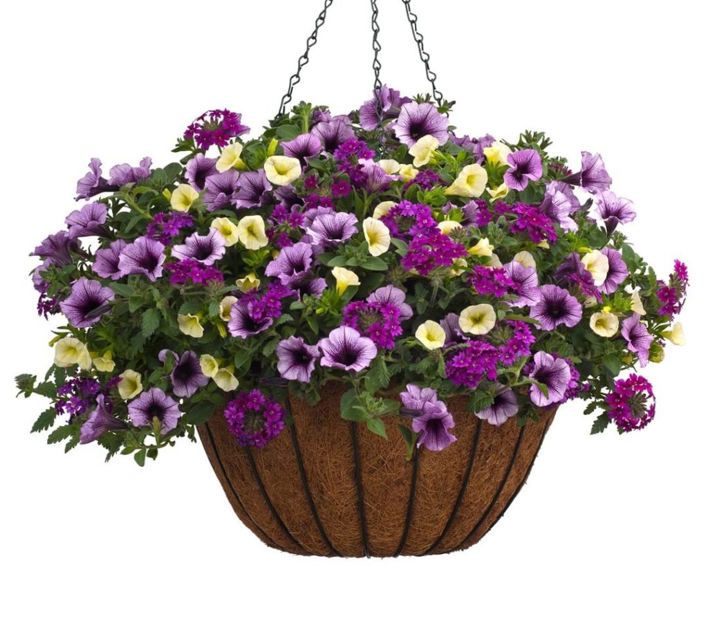 @gardendesignmag: Do you struggle with knowing what plants to combine together?
Have a little bit …