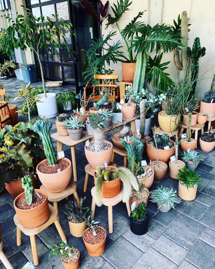 @thejungalow: We are eager to bring #jungalow offline and into the real world as much as we ca…