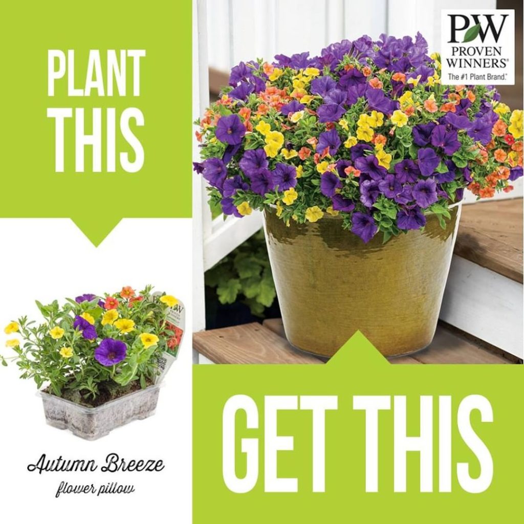 @gardendesignmag: After just a few weeks, you’ll have a beautiful container garden! Plant it with …