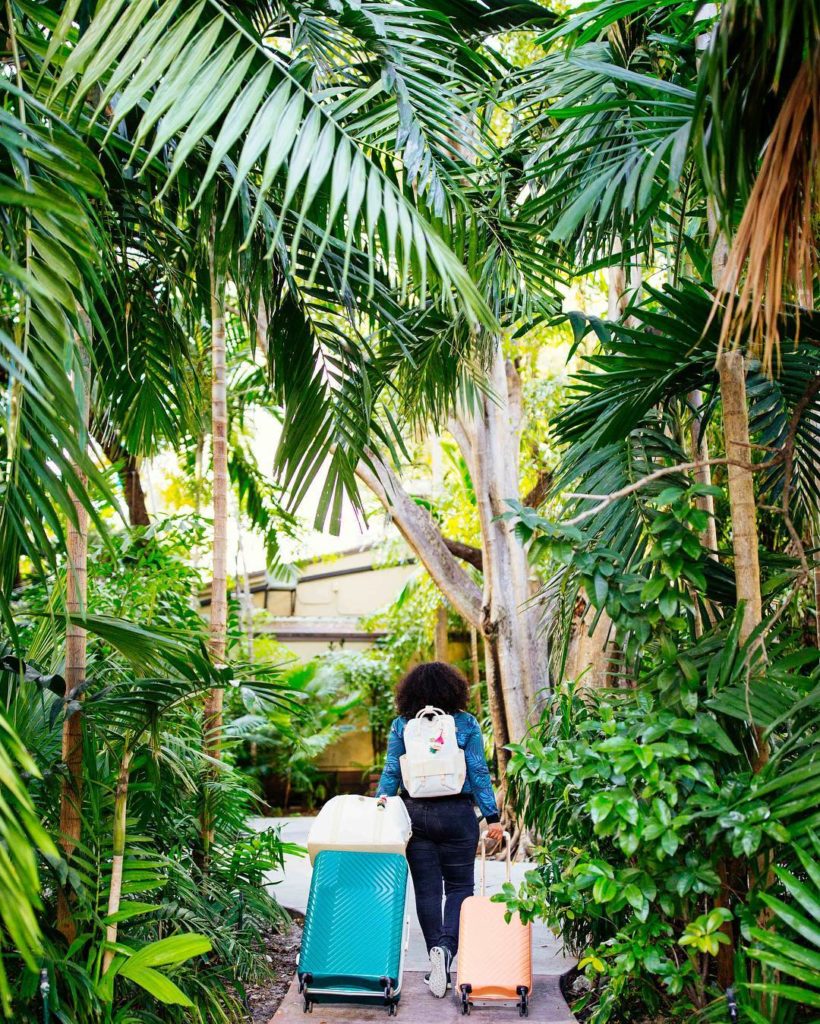 @thejungalow: Big news Jungalistas… BIG NEWS!! Our brand new luggage collection launches NOW…