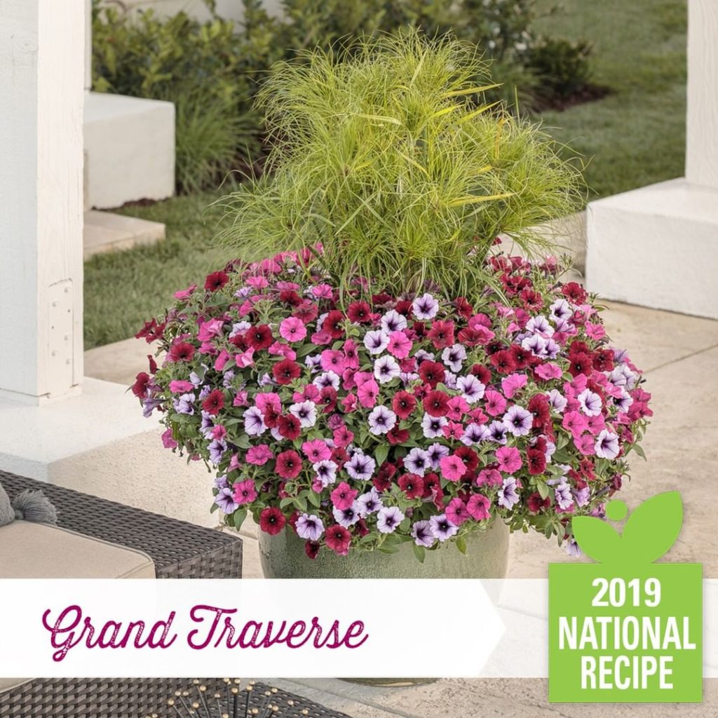 @gardendesignmag: Looking for a great recipe for the big game? How about this beautiful plant reci…