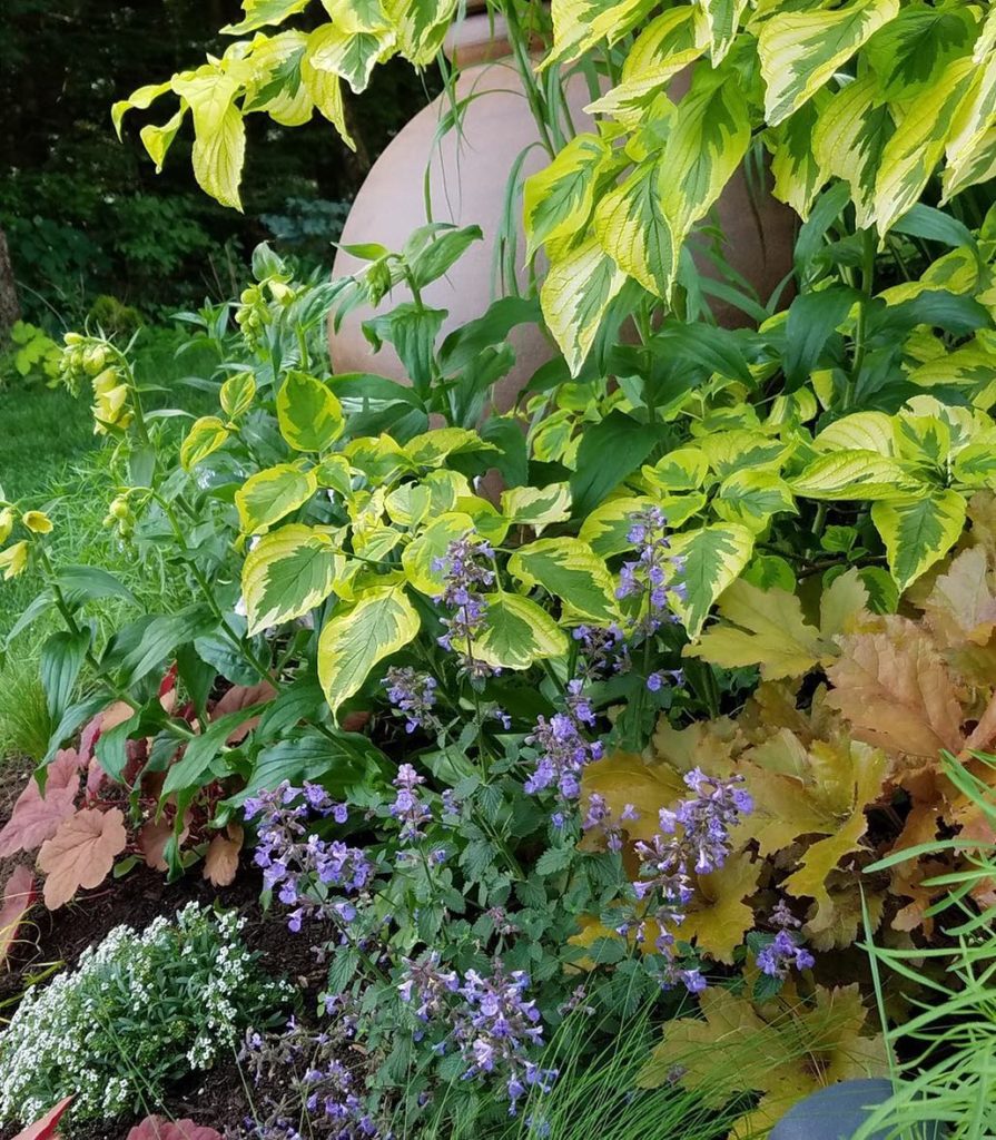 @gardendesignmag: If you enjoy learning about plants and fancy a little getaway to Vermont, Kerry …