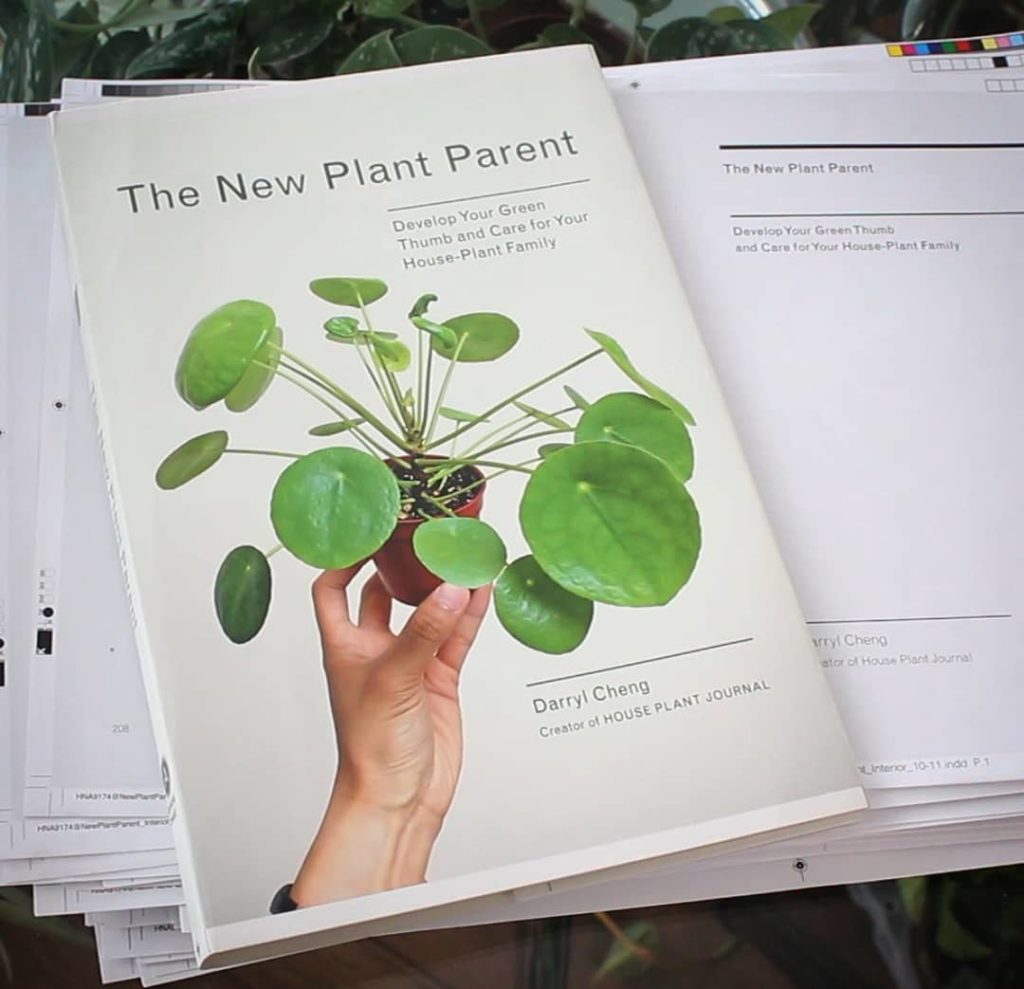 @houseplantjournal: It’s time to close the old chapter of houseplant tips and tricks. It’s time for …