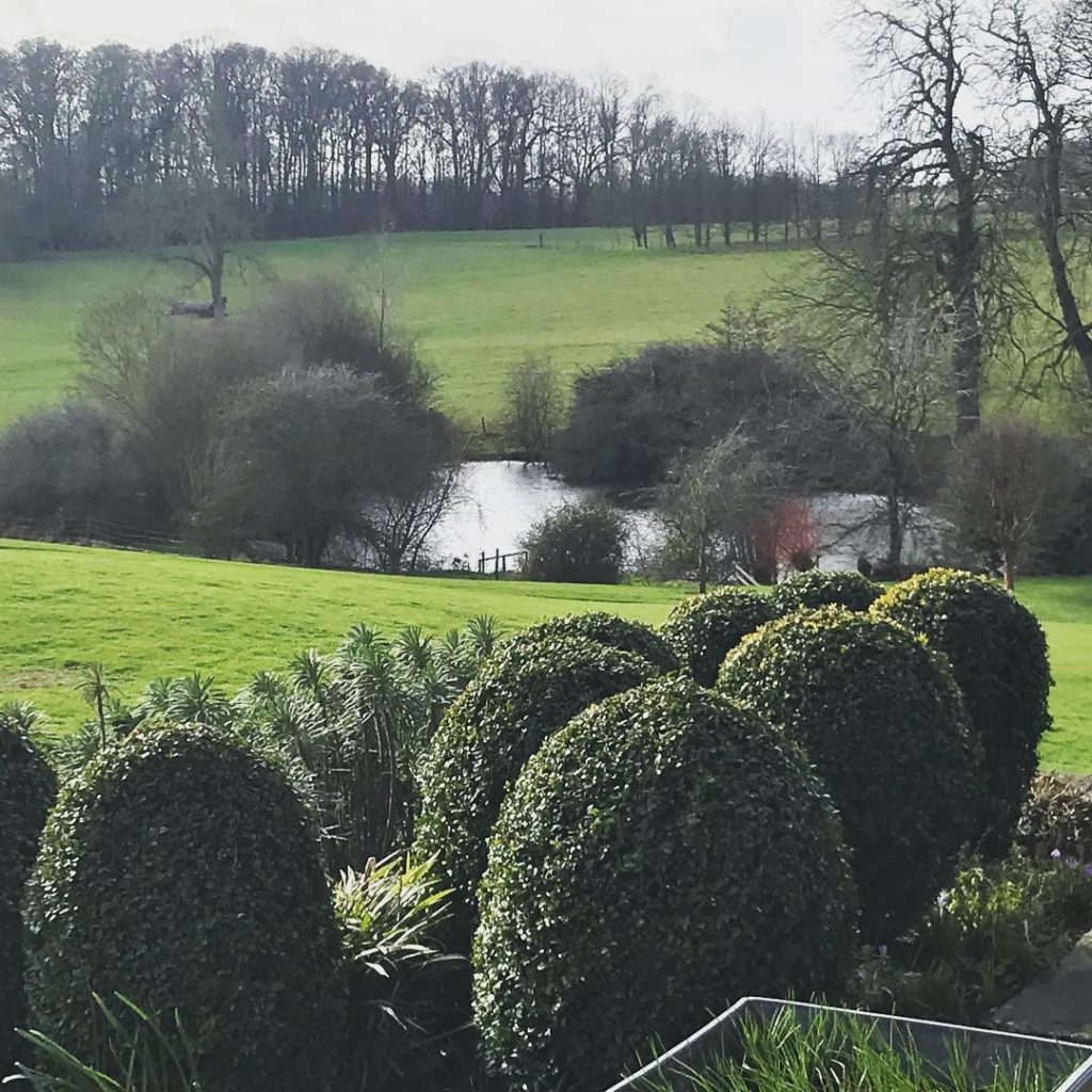 @kategouldgardens: A little bit of structure and form; #topiary, #views, #oldwall #espalier making …
