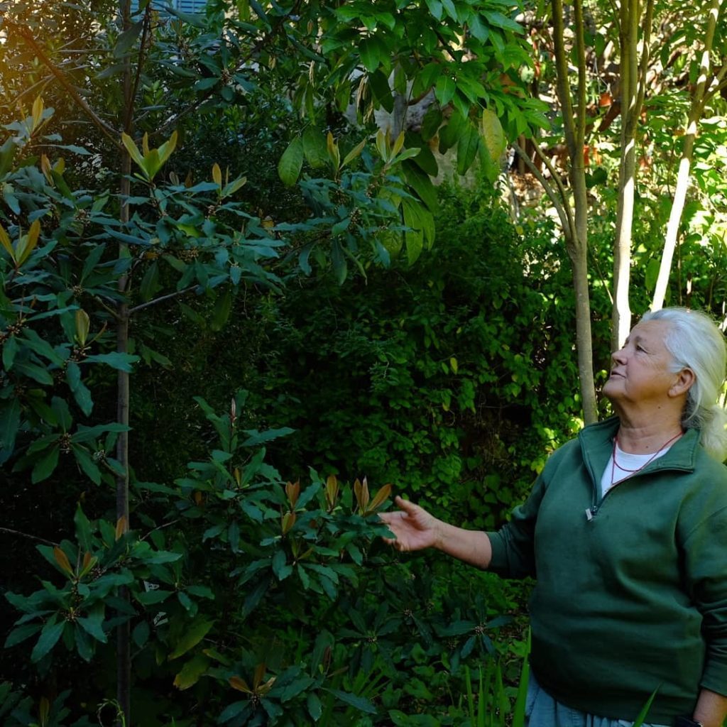 @jamesscapedesign: Garden visit la Bocca Negra with Peter Korn Alejandro O’Neill Ursula is lookin…