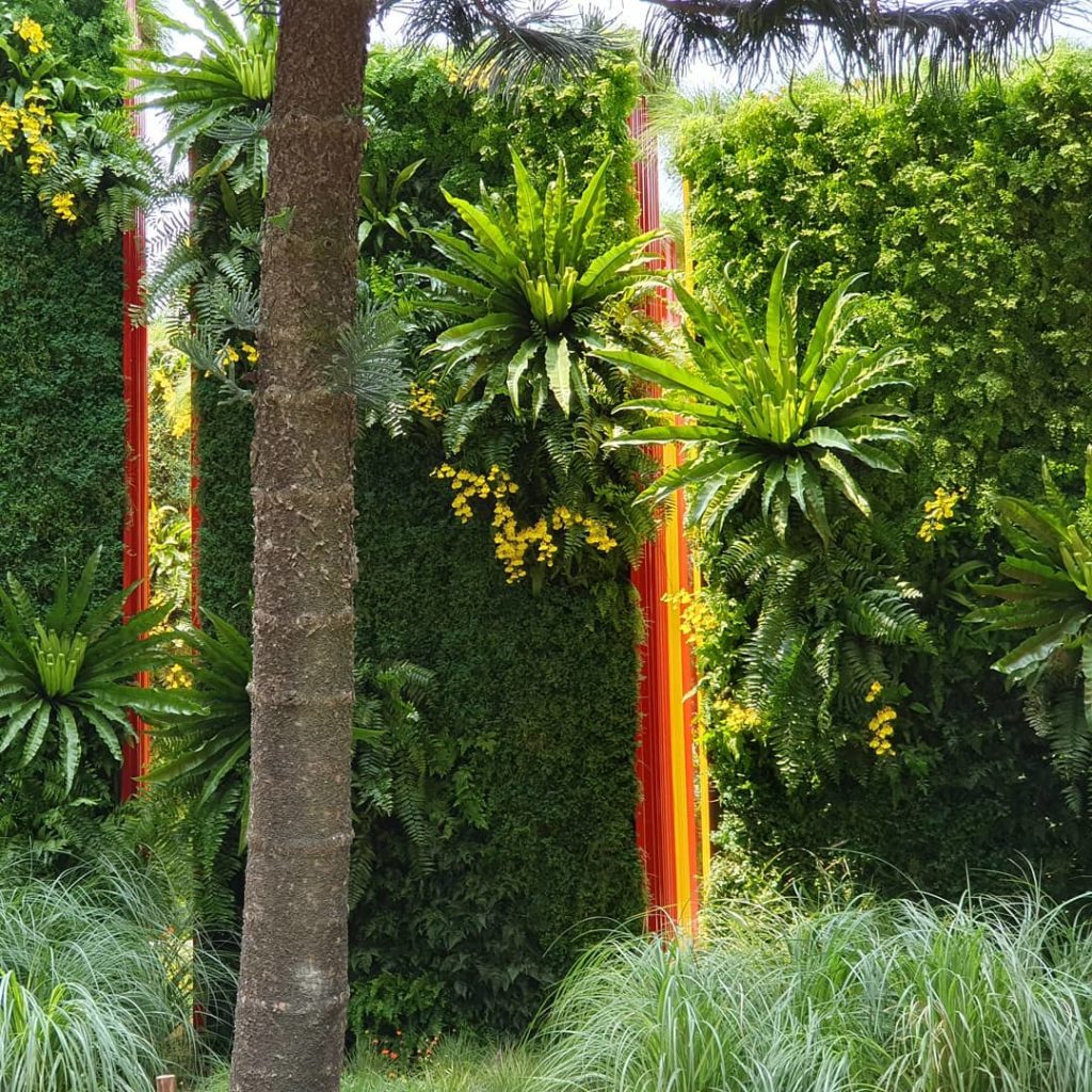 #shenzenflowershow #greenwall #greenroof #containergarden #shenzen...