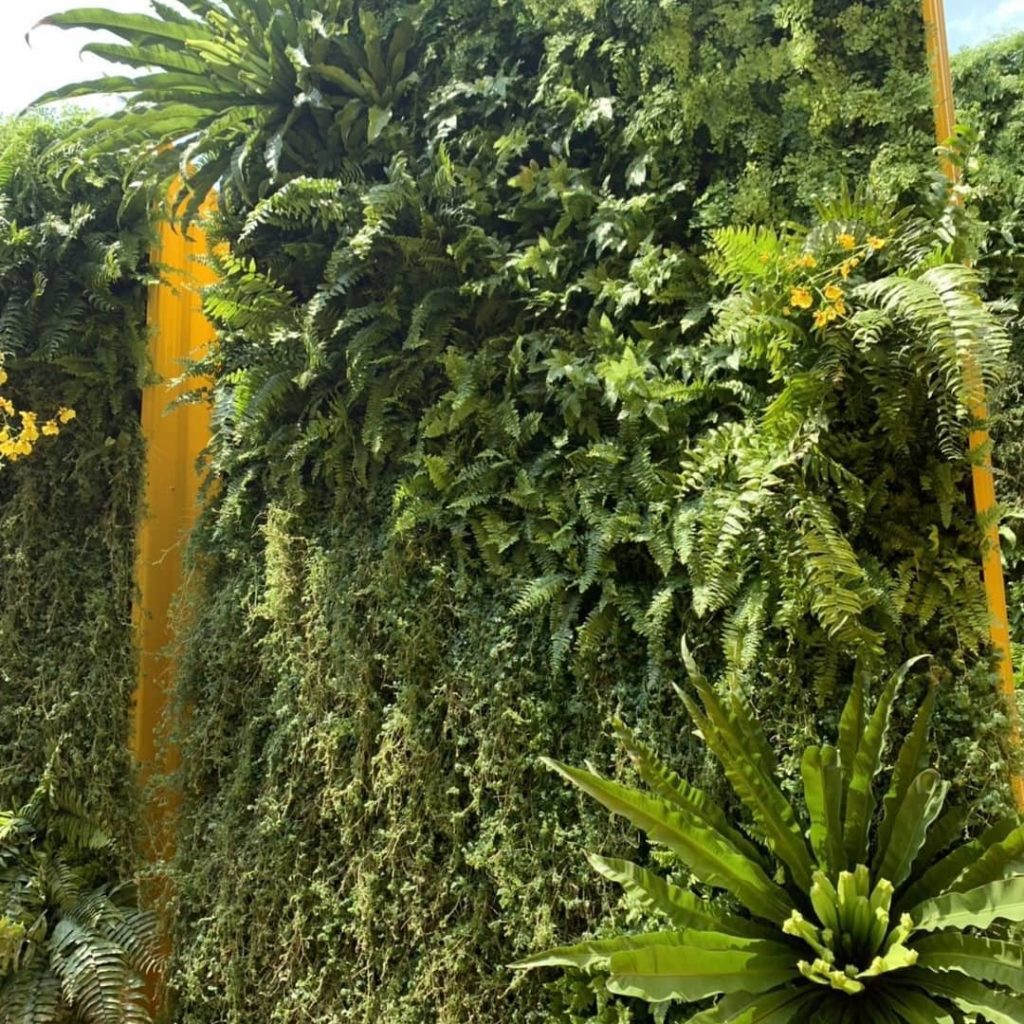 greenwalls #Shenzenflowerfestival...