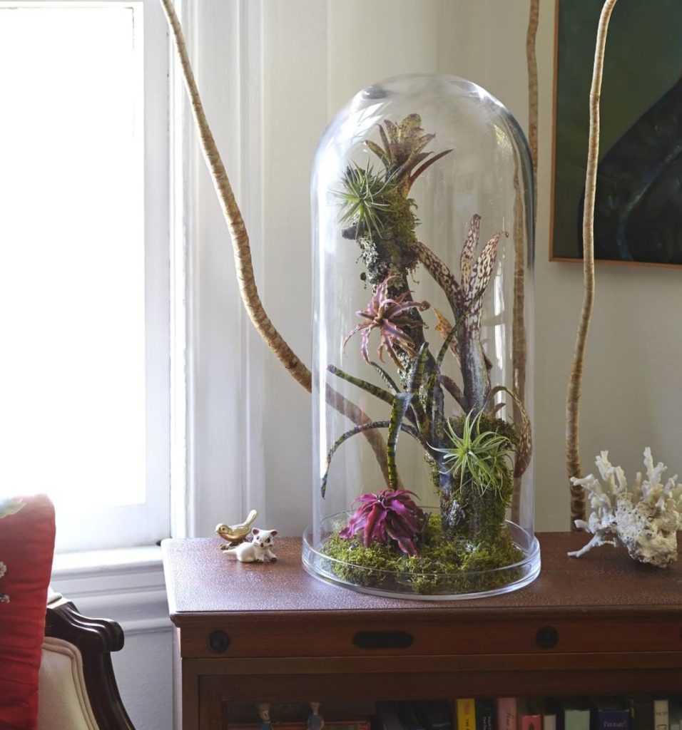 Do you love to create things? Our new DIY Garden Ideas page has 12 garden projec...