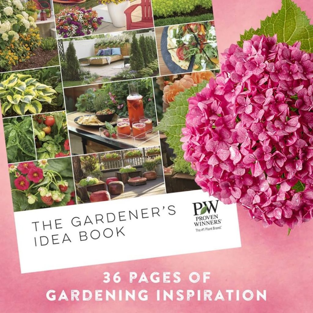gardendesignmag: From creating a pollinator garden to garden to table goodness (have you seen Ama… From creating a pollinator garden to garden to table goodness (have you seen Ama...