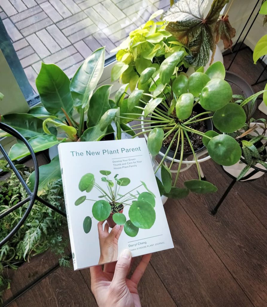 houseplantjournal: It was nice to see my book on store shelves yesterday but the online retailers a… It was nice to see my book on store shelves yesterday but the online retailers a...
