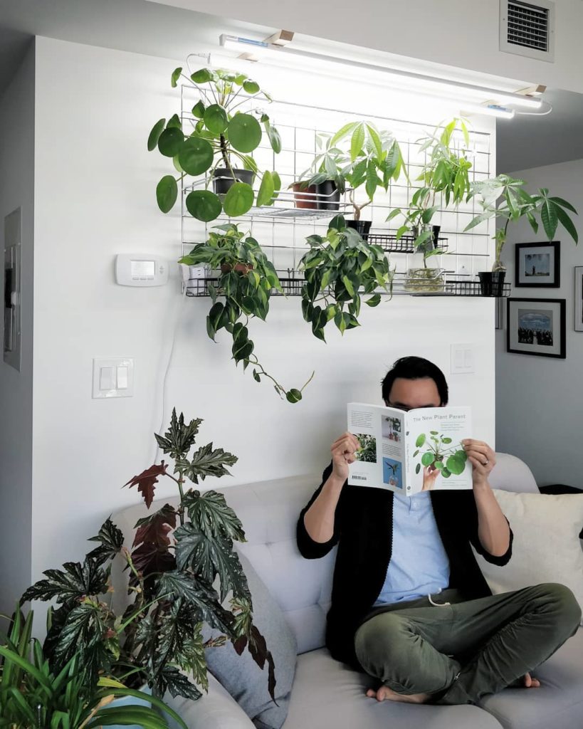 houseplantjournal: ‘The New Plant Parent’ is a book that will expand your mind such that you’ll no … 'The New Plant Parent' is a book that will expand your mind such that you'll no ...