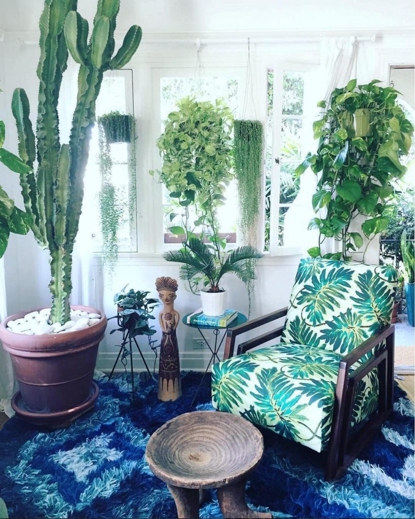 Have you ever walked into a place and been like “Nah, too many plants” ...