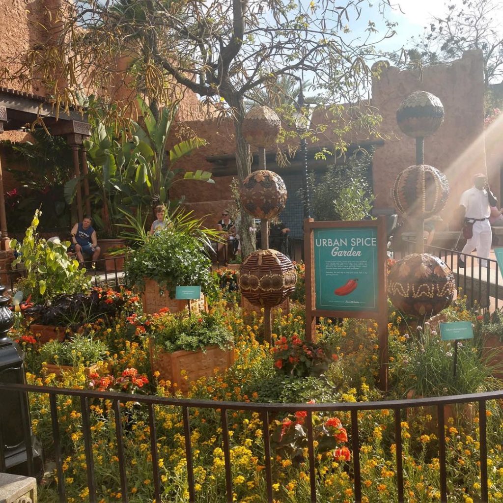 @gardendesignmag: Sun is shining on this Urban Spice Garden, and more sights at the 2019 Epcot Int…