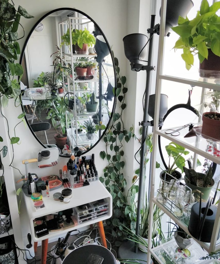 houseplantjournal: Just using this eye-catching corner of my home to say: come to @canadablooms to … Just using this eye-catching corner of my home to say: come to @canadablooms to ...