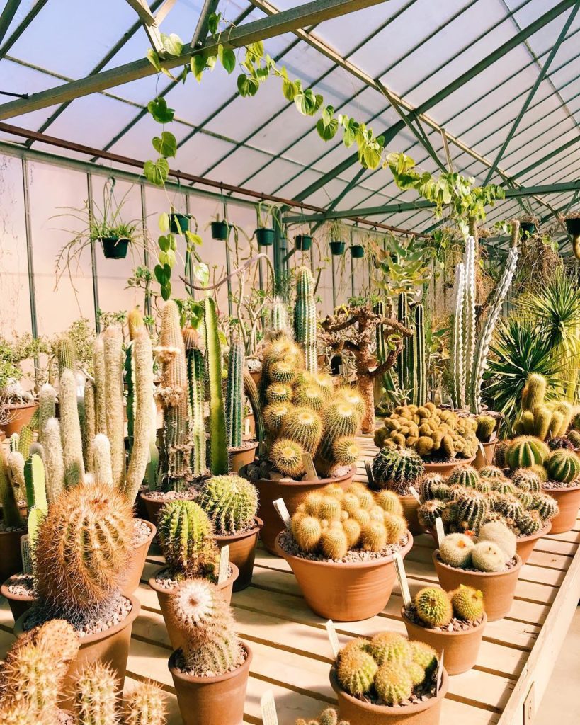 Sometimes you just need a mid-week trip to @thehuntingtonlibrary  #jungalow...