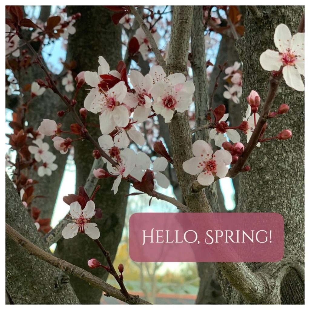 gardendesignmag: It’s finally here! How happy are you that it’s the first day of SPRING?! Share y… It's finally here! How happy are you that it's the first day of SPRING?! Share y...