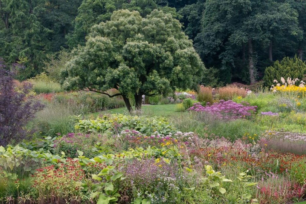 Transport yourself to a garden in England: The RHS Garden Harlow Carr, near Harr...