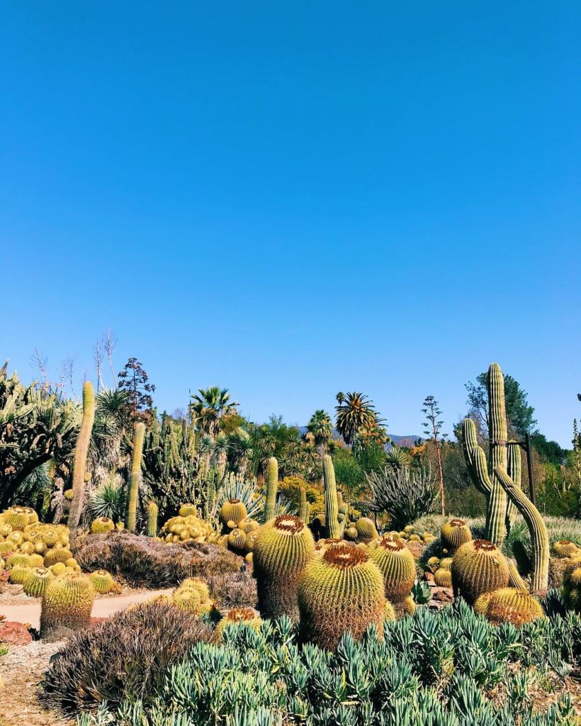 Sometimes you just need a midweek trip to @thehuntingtonlibrary #jungalow...