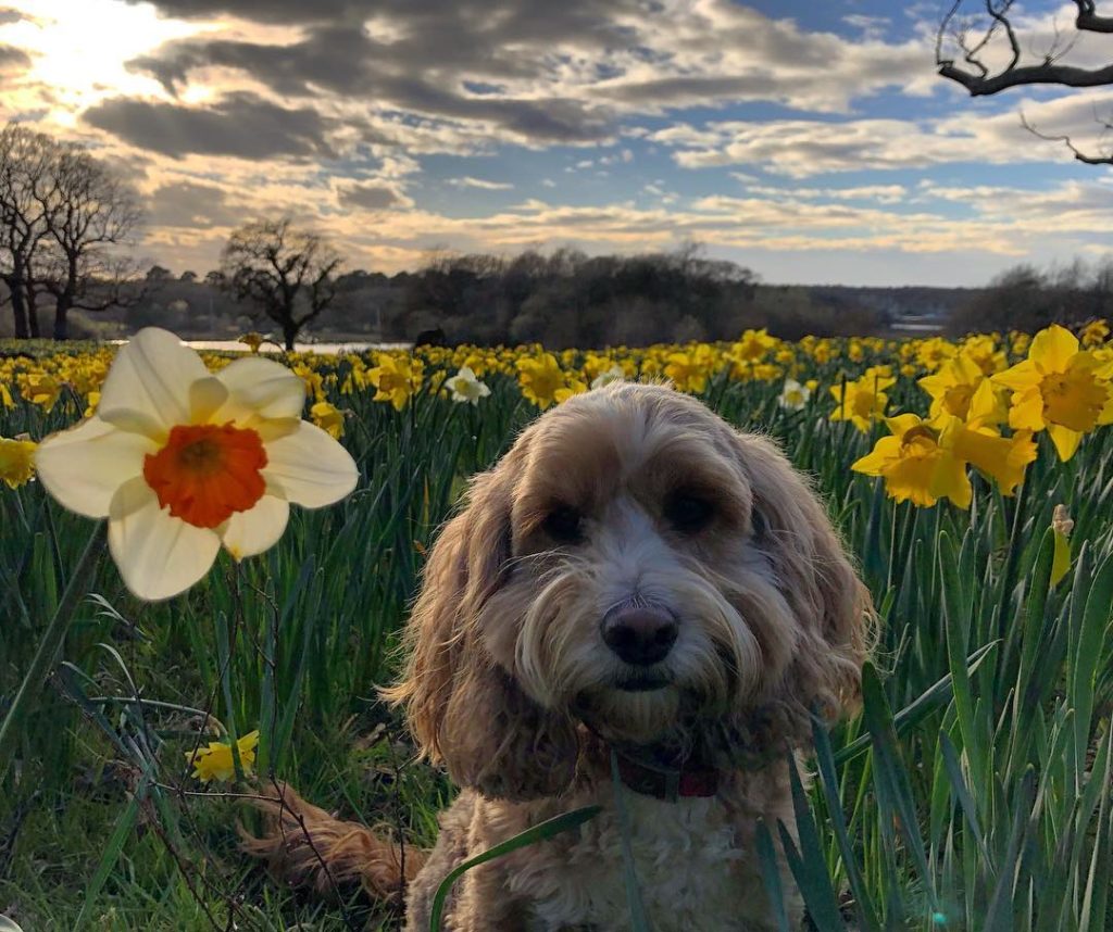 #morning : #Monday - taking this #attitude into the week ahead......