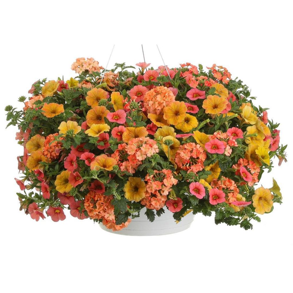 Enter to Win a Flower Pillow for You AND a Friend! Happy #FlowerFriday! 
To ente...