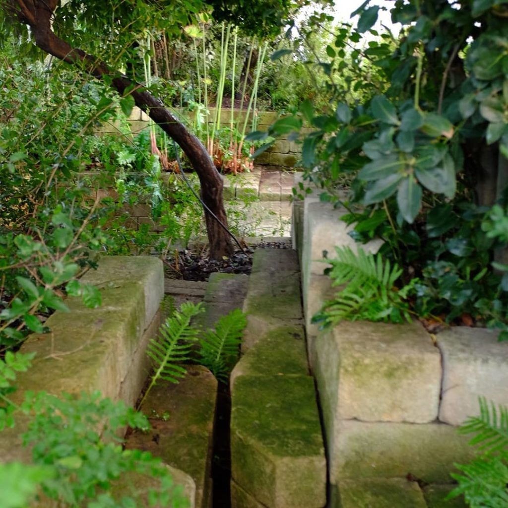 Quick visit to #radicepuragardenfestival to give the garden of  Aphaeus and Aret...