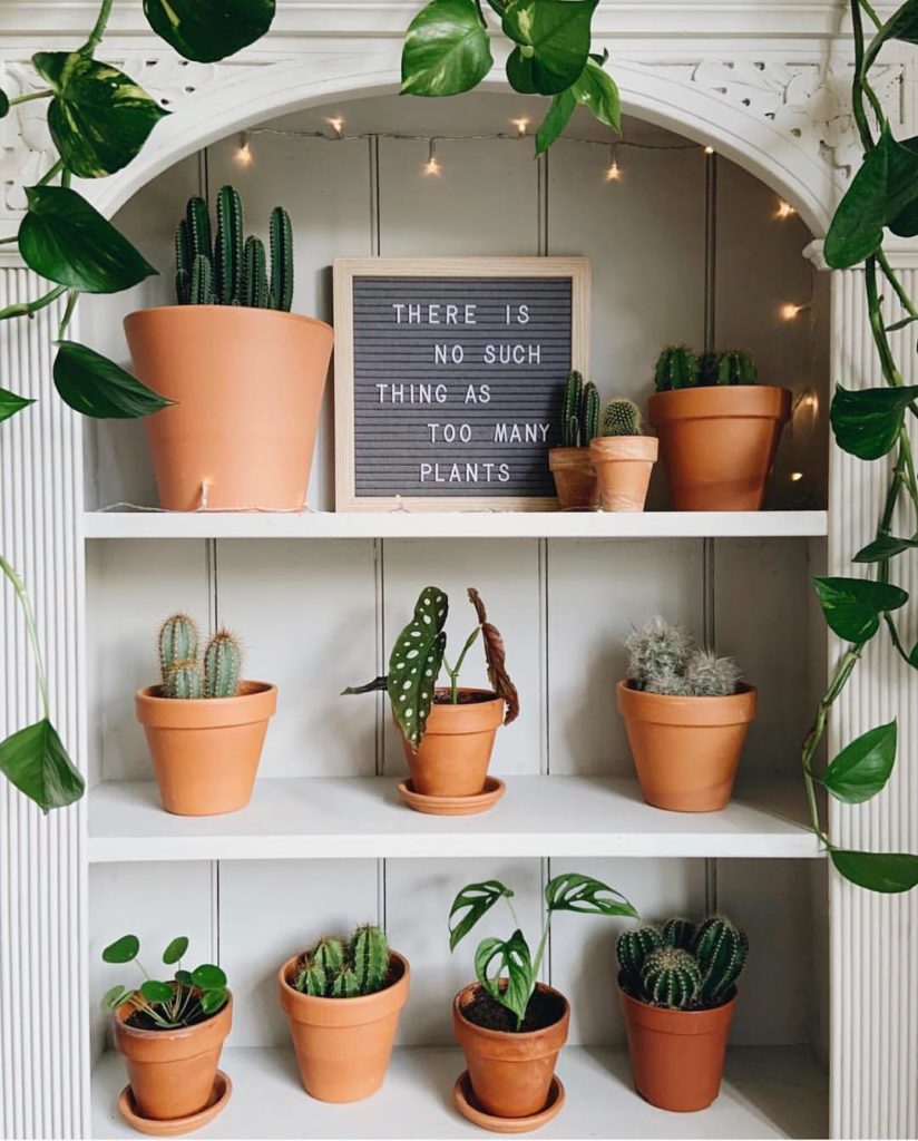 Terra Cotta #shelfie brought to you by @thehouseplantpage ...