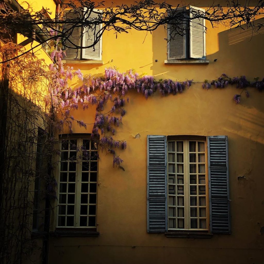 Si parte #offwego #wisteria #glicine #buongiorno #parma #italia ...