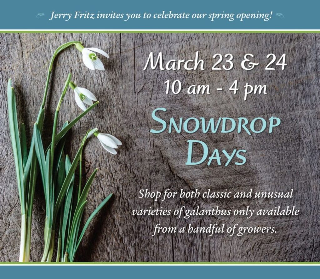 Only a few days until Snowdrop Days at Linden Hill Gardens at jerryfritzgarden!
...