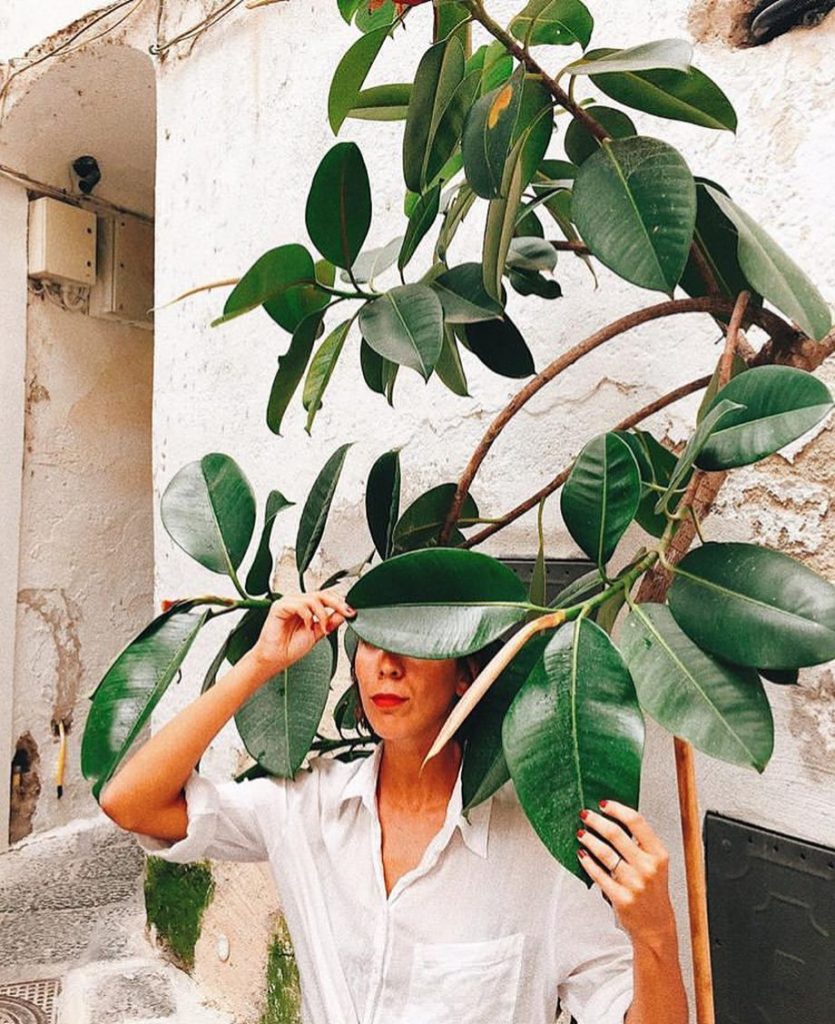 When you realize tomorrow is only Wednesday  ... #ficuselastica photo by @delfin...