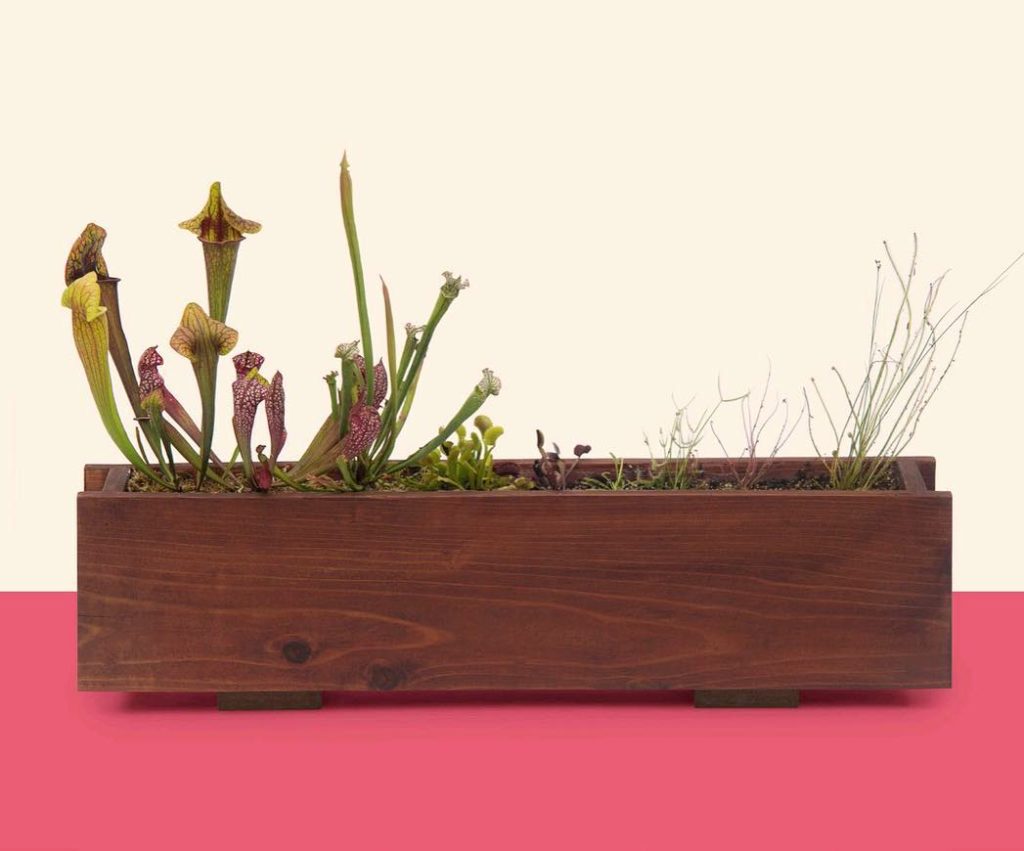 Our spring celebration continues with our second book giveaway of How to Window ...