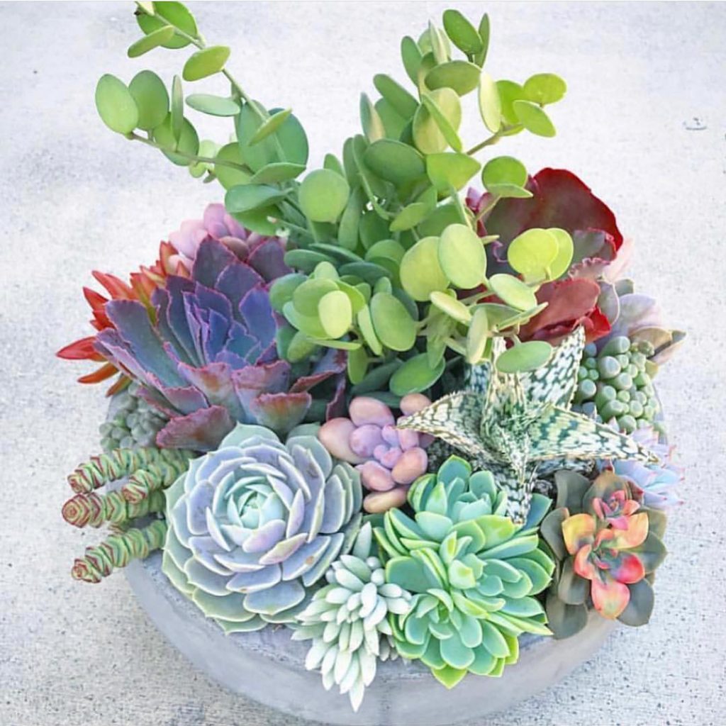 String of Nickels is back in stock!...