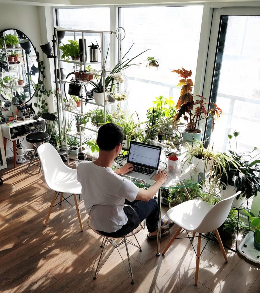 A human and his plants being productive
~
~
#houseplantjournal #houseplants #pla...